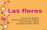 Las flores Jiménez Gil, Ángeles. Martínez Quesada, Mª Ángeles. Ramírez Millán, Nerea. Rodríguez Huertas, María.