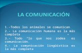 1.-Todos los animales se comunican 2.- La comunicación humana es la más completa 3.- Todo “lo que nos rodea” es comunicación. 4.- La comunicación lingüística.
