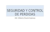 SEGURIDAD Y CONTROL DE PERDIDAS ING Gilberto Chacón Espinoza.