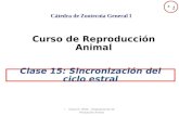 Oscar R. Wilde - Departamento de Producción Animal Curso de Reproducción Animal Clase 15: Sincronización del ciclo estral Cátedra de Zootecnia General.