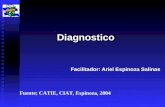 Diagnostico Facilitador: Ariel Espinoza Salinas Fuente; CATIE, CIAT, Espinoza, 2004.