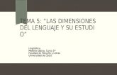 TEMA 5: “LAS DIMENSIONES DEL LENGUAJE Y SU ESTUDIO” Lingüística Materia básica. Curso 1º Facultad de Filosofía y Letras Universidad de Cádiz.