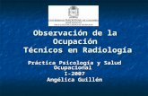 Observación de la Ocupación Técnicos en Radiología Práctica Psicología y Salud Ocupacional I-2007 Angélica Guillén.