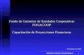 PROYECCIONES FINANCIERAS -1 Fondo de Garantías de Entidades Cooperativas FOGACOOP Capacitación de Proyecciones Financieras Noviembre de 2006.