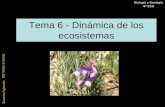 Susana Fajarnés IES Veles e Vents Biología y Geología 4º ESO Tema 6 - Dinámica de los ecosistemas.