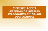 OHSAS 18001 SISTEMAS DE GESTIÓN EN SEGURIDAD Y SALUD OCUPACIONAL.