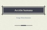 Acción humana Jorge Riechmann. 21/08/2015acción humana2 Lo que hacemos al otro mediante nuestras acciones y omisiones Ética, en la caracterización de.