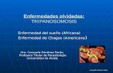 Enfermedades olvidadas: TRIPANOSOMOSIS Enfermedad del sueño (Africana) Enfermedad de Chagas (Americana ) Dra. Consuelo Giménez Pardo, Profesora Titular.