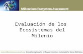 Evaluación de los Ecosistemas del Milenio. La evaluación más grande de la salud de los ecosistemas de la Tierra Expertos y Proceso de Revisión  Preparada.