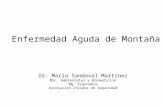 Enfermedad Aguda de Montaña Dr. Mario Sandoval Martínez MSc. Ambientales y Biomedicina Mg. Ergonomía Asociación Chilena de Seguridad.