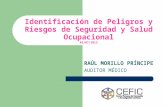 Identificación de Peligros y Riesgos de Seguridad y Salud Ocupacional 03/07/2012 RAÚL MORILLO PRÍNCIPE AUDITOR MÉDICO.