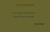 LA ORGANIZACION Juan Alfredo Alva Romero. Fernán Cubas Encalada. 01/10/2008.