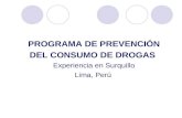 PROGRAMA DE PREVENCIÓN DEL CONSUMO DE DROGAS Experiencia en Surquillo Lima, Perú.