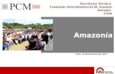 1 Secretaría Técnica Comisión Interministerial de Asuntos Sociales CIAS Amazonía Lima, 15 de Octubre del 2014.