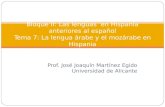 Prof. José Joaquín Martínez Egido Universidad de Alicante Bloque II: Las lenguas en Hispania anteriores al español Tema 7: La lengua árabe y el mozárabe.