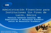 CDE Centro de Desarrollo Económico Recinto Universitario de Mayagüez Administración Financiera para Instituciones Sin Fines de Lucro, Básico Patricia Valentín.
