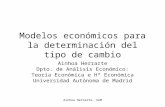 Ainhoa Herrarte, UAM Modelos económicos para la determinación del tipo de cambio Ainhoa Herrarte Dpto. de Análisis Económico: Teoría Económica e Hª Económica.