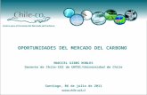 OPORTUNIDADES DEL MERCADO DEL CARBONO MARICEL GIBBS ROBLES Gerente de Chile-CO2 de UNTEC/Universidad de Chile Santiago, 06 de julio de 2011.