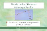 Teoría de los Sistemas Autoorganizados Atractores, Fractales, Componentes y WEB Services Ing. Herman E. Dolder.