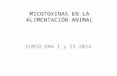 MICOTOXINAS EN LA ALIMENTACIÓN ANIMAL CURSO EMA I y II 2014.