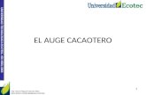 UNIVERSIDAD TECNOLÓGICA ECOTEC. ISO 9001:2008 EL AUGE CACAOTERO Ing. Aison Piguave García MSc. DOCENTE UNIVERSIDAD ECOTEC 1.