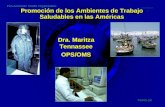PAHO-2K 048TEN2K 1 Pan American Health Organization Promoción de los Ambientes de Trabajo Saludables en las Américas Dra. Maritza Tennassee OPS/OMS Dra.