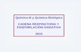 Química III y Química Biológica CADENA RESPIRATORIA Y FOSFORILACIÓN OXIDATIVA 2015.