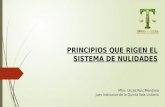 PRINCIPIOS QUE RIGEN EL SISTEMA DE NULIDADES Mtro. Ulices Ruiz Mendiola Juez Instructor de la Quinta Sala Unitaria.