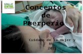 Conceptos de Puerperio Cuidado de la mujer y RN 2015.