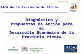 Municipalidad Provincial de Picota Diagnóstico y Propuestas de Acción para el Desarrollo Económico de la Provincia Picota Diagnóstico y Propuestas de Acción.