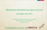 PROGRAMA NACIONAL DE Lobesia botrana Estrategia 2015-2016 División de Protección Agrícola y Forestal Servicio Agrícola y Ganadero Agosto, 2015.