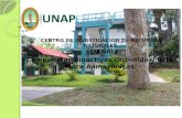 Compuestos Bioactivos Obtenidos de la Flora Aamazónicas CENTRO DE INVESTIGACION DE RECURSOS NATURALES (CIRNA)