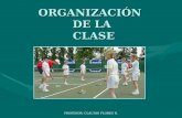 PROFESOR: CLAUDIO FLORES R. ORGANIZACIÓN DE LA CLASE.