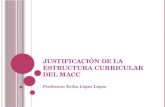 JUSTIFICACIÓN DE LA ESTRUCTURA CURRICULAR DEL MACC Profesora: Erika López López.