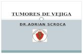DR.ADRIAN SCROCA TUMORES DE VEJIGA. GENERALIDADES Son los tumores mas frecuentes del aparato genitourinario masculino luego de los de la próstata. Incidencia.