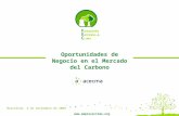 Oportunidades de Negocio en el Mercado del Carbono  Barcelona, 3 de noviembre de 2009.