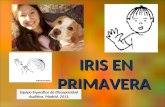 IRIS EN PRIMAVERA Equipo Específico de Discapacidad Auditiva. Madrid. 2013.