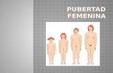 La pubertad comienza cuando se empieza a segregar una hormona llamada FSH, que estimula los ovarios para iniciar el desarrollo de estrógeno en el cuerpo.