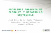 PROBLEMAS AMBIENTALES GLOBALES Y DESARROLLO SOSTENIBLE José Emil De la Rocha Valverde Consultor especialista en sostenibilidad.