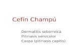Cefín Champú Dermatitis seborreica Pitiriasis versicolor Caspa (pitiriasis capitis)