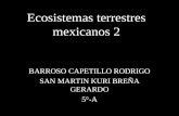 Ecosistemas terrestres mexicanos 2 BARROSO CAPETILLO RODRIGO SAN MARTIN KURI BREÑA GERARDO 5°-A.