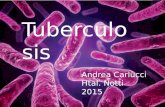 Tuberculosis Andrea Carlucci Htal. Notti 2015 Tuberculosis Andrea Carlucci Htal. Notti 2015.