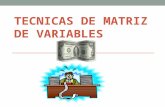TECNICAS DE MATRIZ DE VARIABLES. Objetivos del aprendizaje Qué es un matriz de variables? Propósito Importancia Claves para presupuestos efectivos Pasos.