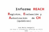 Informe REACH R egistro, E valuación y A utorización de CH (químicos) José María Fumagalli (en base a información obtenida en HICCS 2008 y entrevistas.