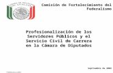 Comisión de Fortalecimiento del Federalismo Profesionalización de los Servidores Públicos y el Servicio Civil de Carrera en la Cámara de Diputados Comisión.