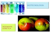 BIOTECNOLOGÍA INGENIERÍA GENÉTICA. Biotecnología : Conjunto de técnicas que utilizan las potencialidades de los organismos vivos o de compuestos procedentes.