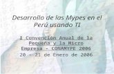 Desarrollo de las Mypes en el Perú usando TI I Convención Anual de la Pequeña y la Micro Empresa – CONAMYPE 2006 20 - 21 de Enero de 2006.