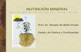 NUTRICIÓN MINERAL Prof. Dr. Renato de Mello Prado Depto. de Suelos y Fertilizantes.