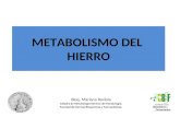 METABOLISMO DEL HIERRO Bioq. Mariana Raviola Cátedra de Hematología-Servicio de Hematología. Facultad de Ciencias Bioquímicas y Farmacéuticas.