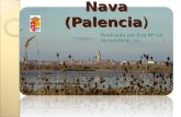 Guía de Visita Fuentes de Nava (Palencia) Realizado por Eva Mª Gil Almendáriz.